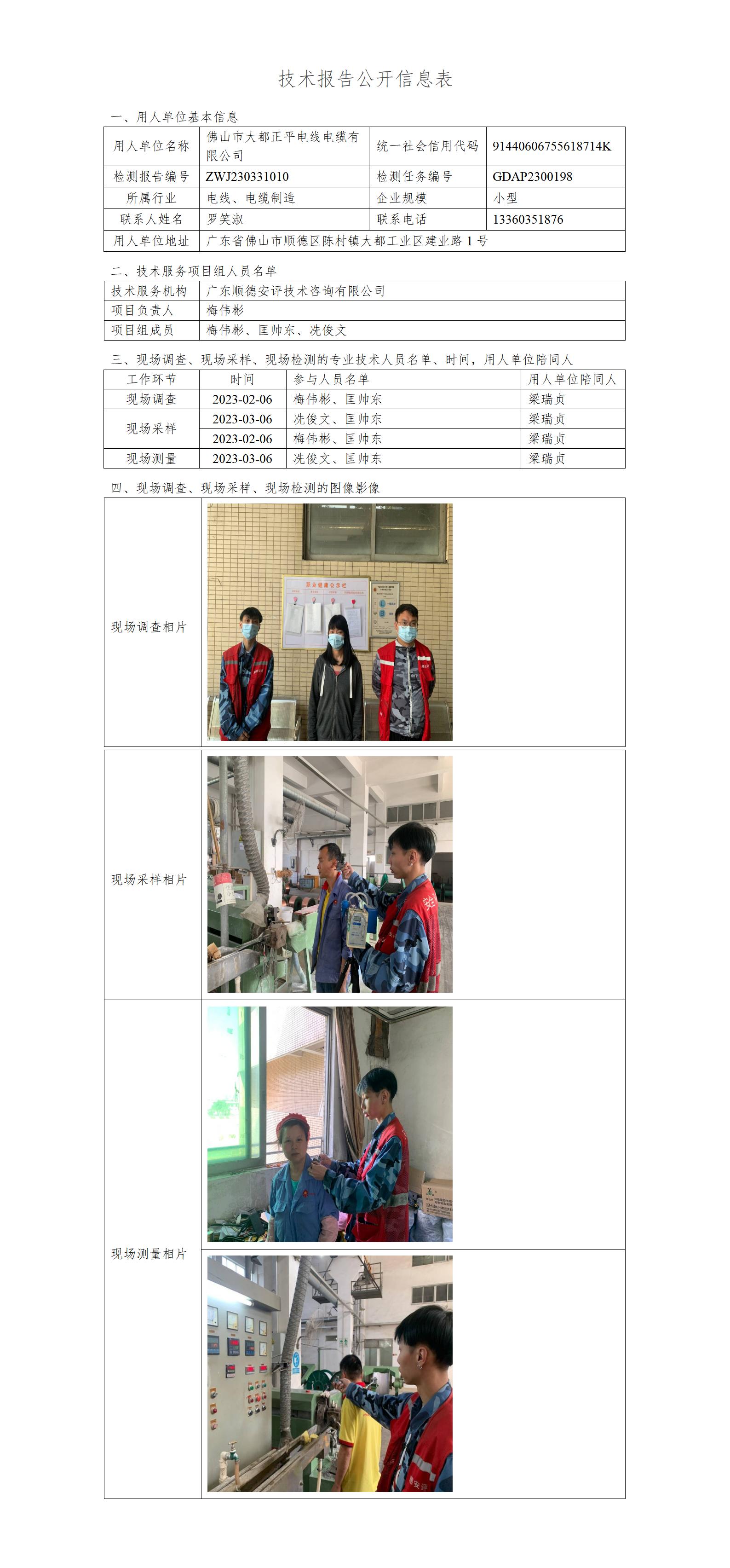 佛山市大都正平电线电缆有限公司-2023-技术报告公开信息表_01.jpg