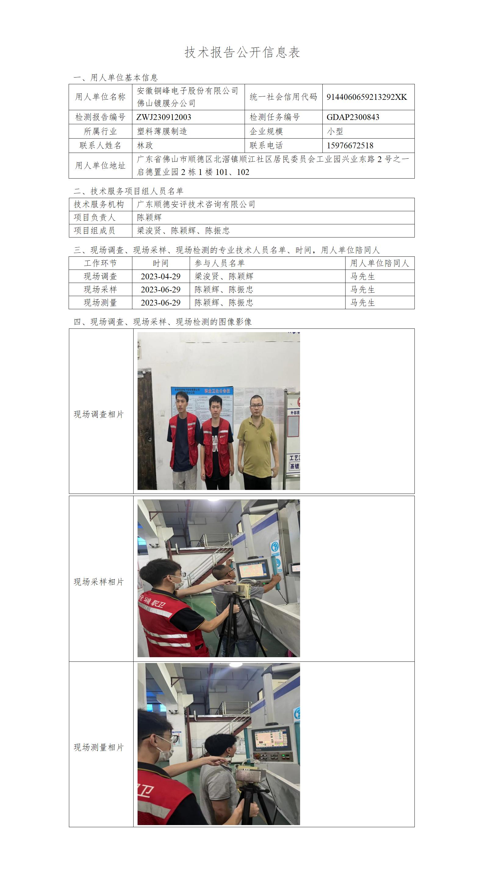 安徽铜峰电子股份有限公司佛山镀膜分公司-2023-技术报告公开信息表_01.jpg