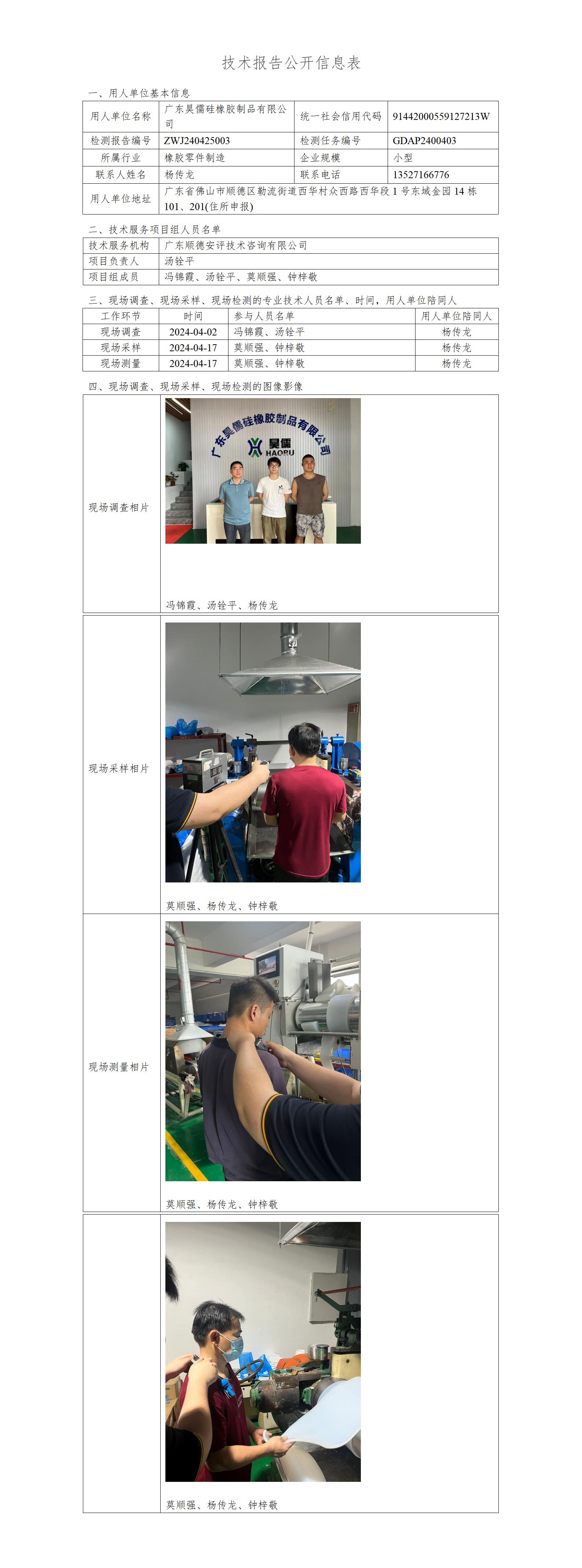 广东昊儒硅橡胶制品有限公司-2024-技术报告公开信息表_01.jpg