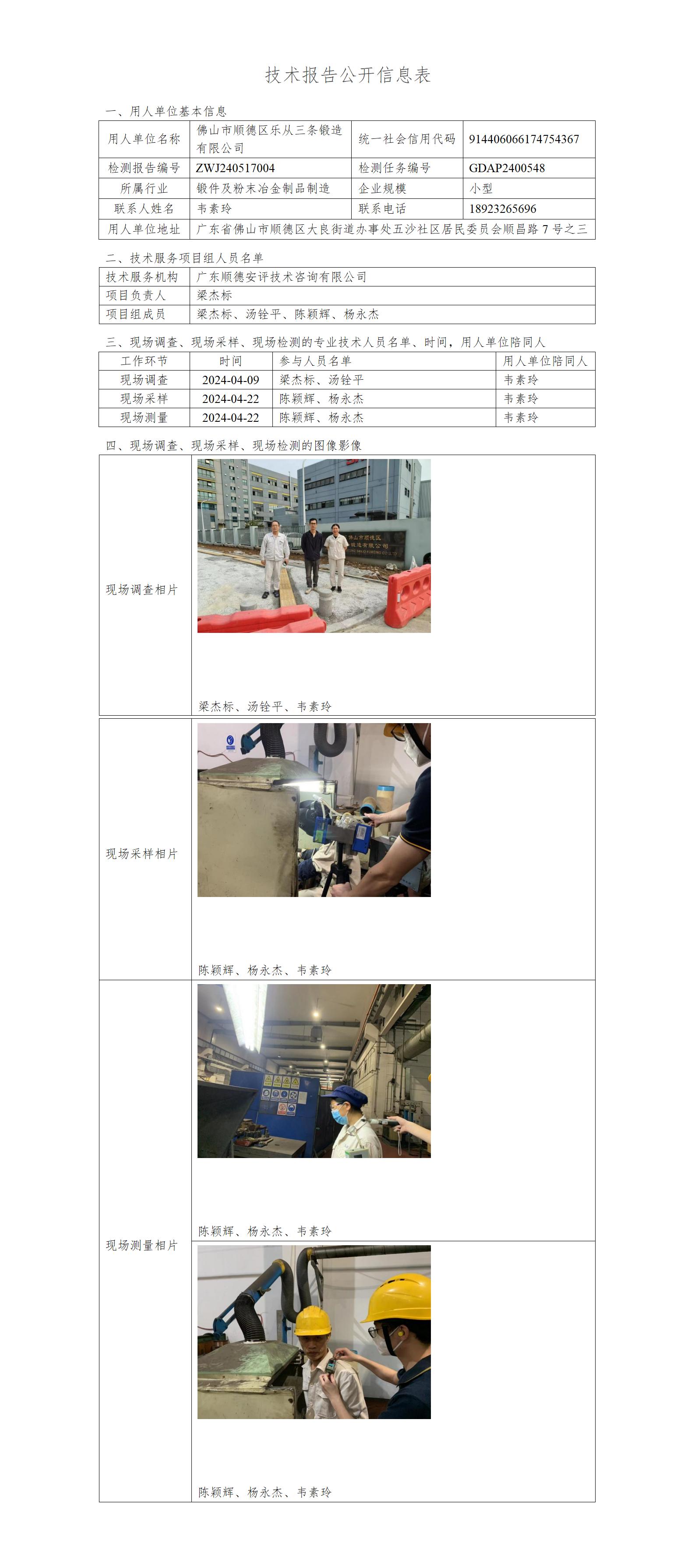 佛山市顺德区乐从三条锻造有限公司-2024-技术报告公开信息表_01.jpg