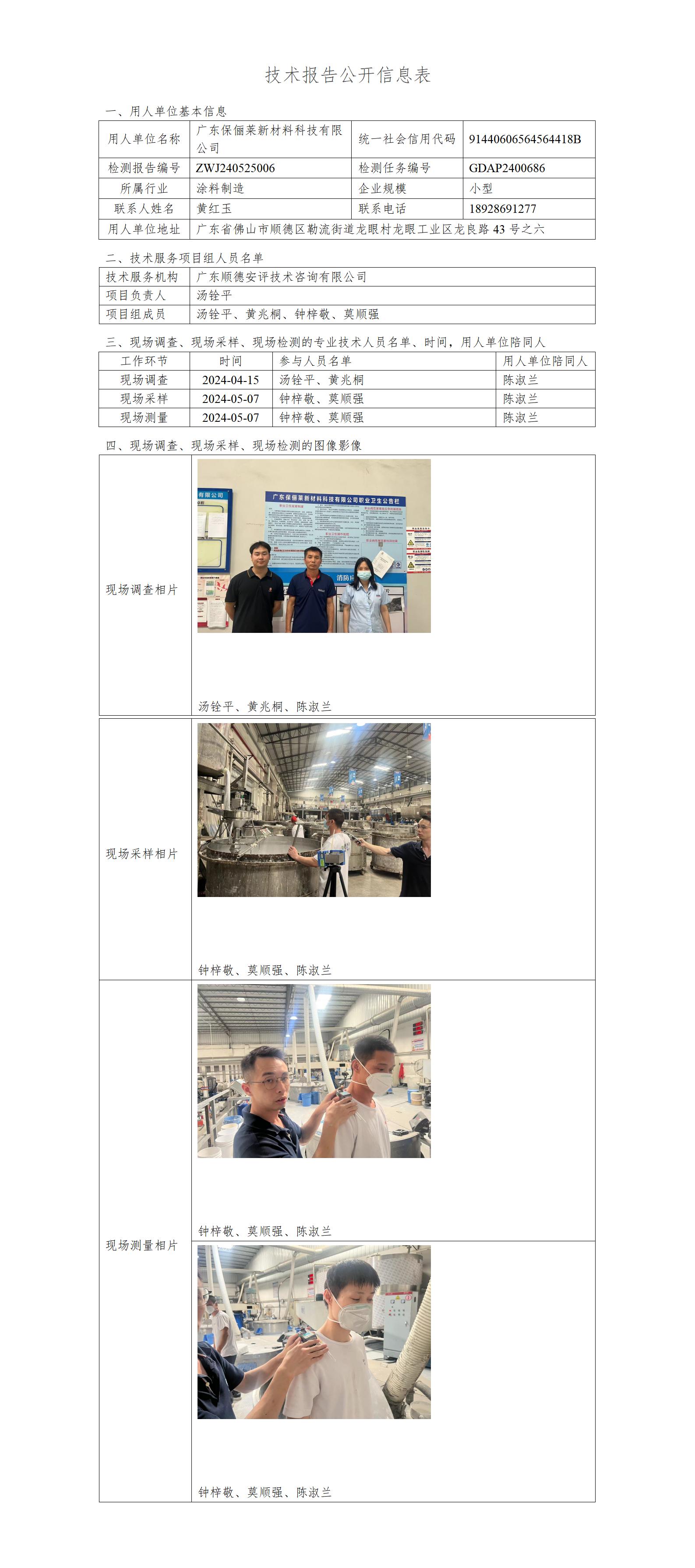 广东保俪莱新材料科技有限公司-2024-技术报告公开信息表_01.jpg