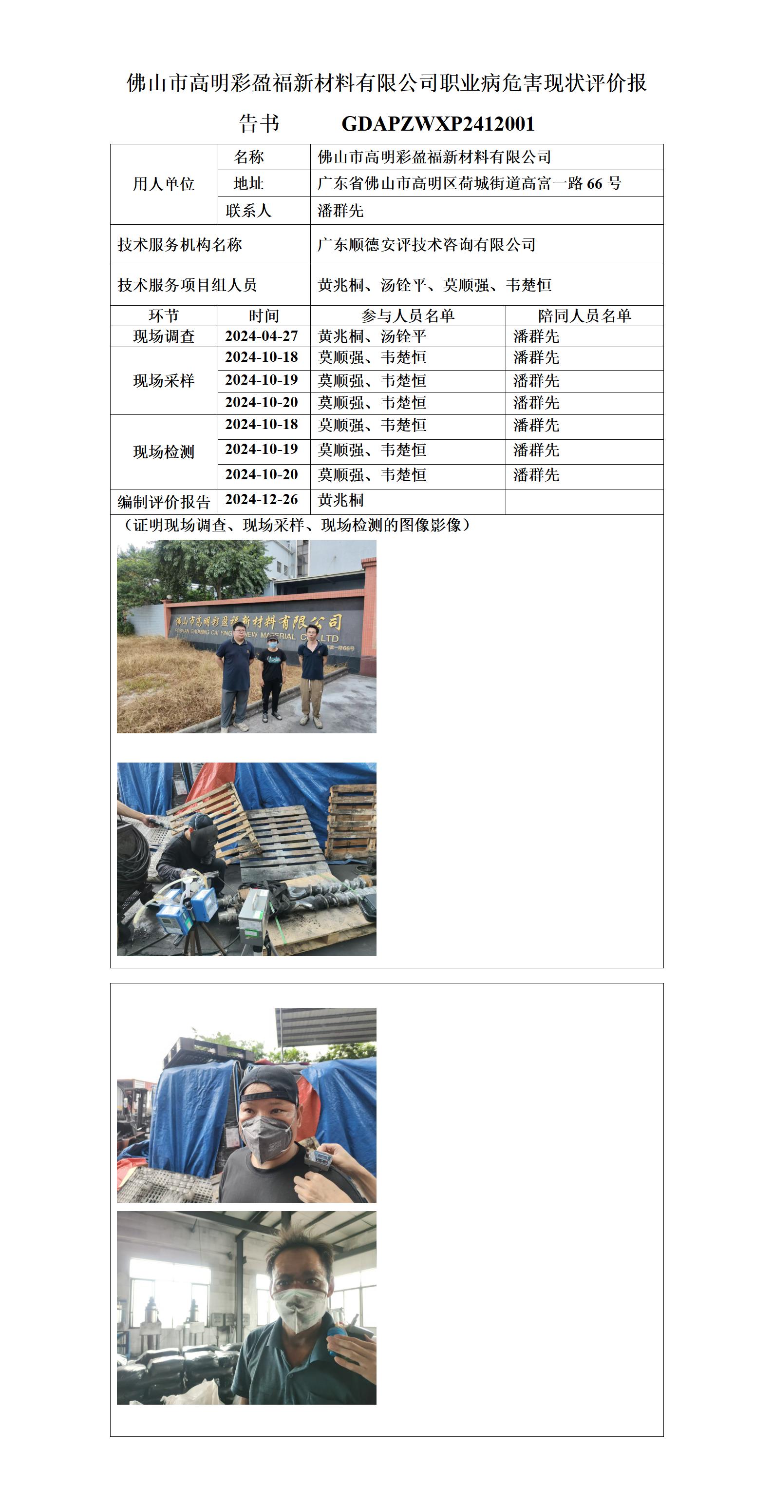 佛山市高明彩盈福新材料有限公司-2024-技术报告公开信息表_01.jpg