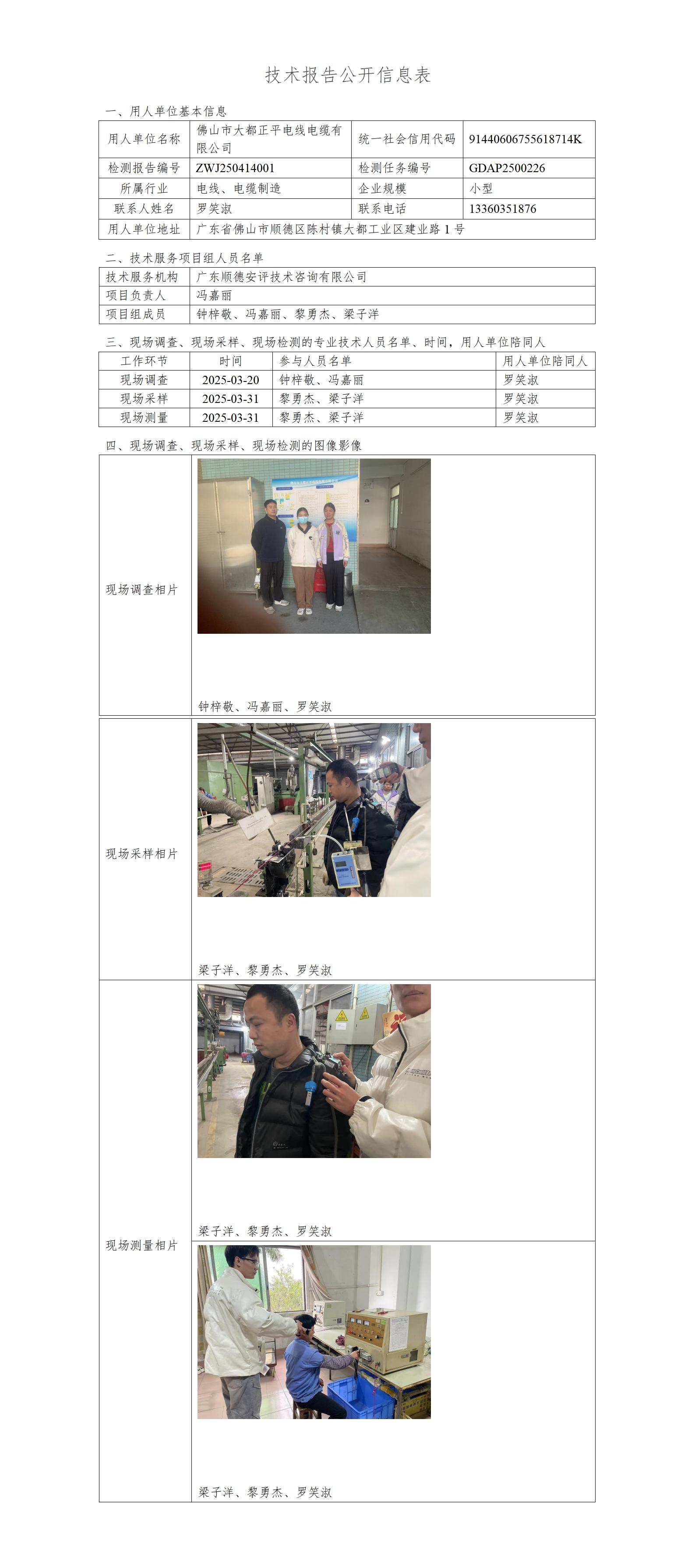 佛山市大都正平电线电缆有限公司-2025-技术报告公开信息表_01.jpg